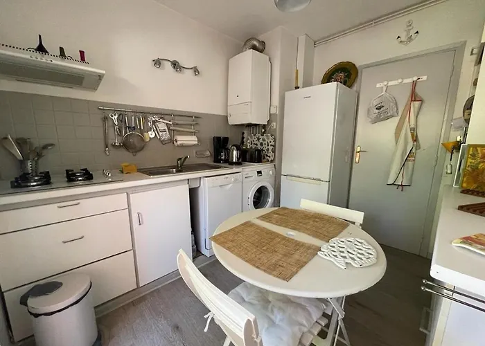 Arcachon: T2 Avec Acces Direct A La Plage, Terrasse Et Parking Prive - Fr-1-474-59 Διαμέρισμα *