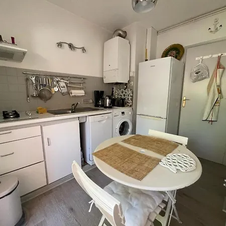 Arcachon: T2 Avec Acces Direct A La Plage, Terrasse Et Parking Prive - Fr-1-474-59 Appartamento *