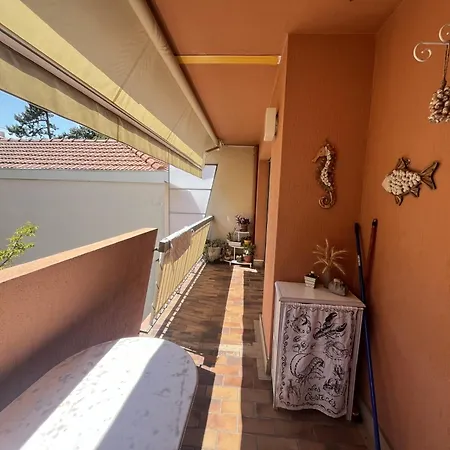 Arcachon: T2 Avec Acces Direct A La Plage, Terrasse Et Parking Prive - Fr-1-474-59 Appartamento *